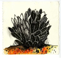 A corriger (3), 2009