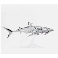 SORAYAMA SHARK, 2021