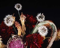 Untitled, from the series »Flowers &..., 2005–2006 Untitled, from the series »Flowers &..., 2005–2006