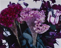 Flowers and Jamorinsky, Tokyo, 2005–2006 Flowers and Jamorinsky, Tokyo, 2005–2006