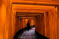 Fushimi Inari Shrine, Kyoto, Japan, 2007