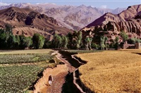 Farmer Walks Through Fields, 2006