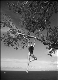 Nude, St. Barthelemy, 1989