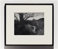 The Black Sun, Tungsten Hills, Owens..., ca. 1939