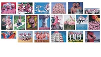 Snatched Ecstasy (Portfolio of 20), 2009