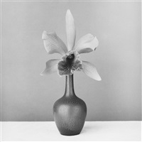 Orchid, 1987
