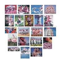 Snatched Ecstasy (Portfolio of 20), 2009