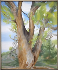 Cottonwood Tree (Near Abiquiu), New Mexico, 1943