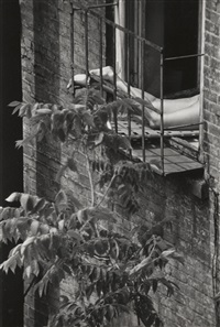 Woman's Legs Sunbathing Through Window, ca. 1960