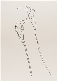 Calla Lily II, 1983–1985