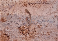 Aperiatur terra, 2004