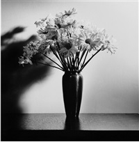 Daisies, 1978