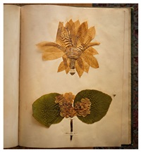 Emily Dickinson's herbarium, Houghton..., 2020