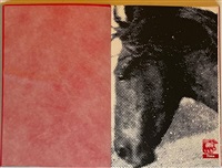My Pretty Pony, 1988