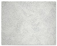 Infinity-Nets (T.OWQ), 2005
