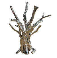 Ceder Tree, 2023