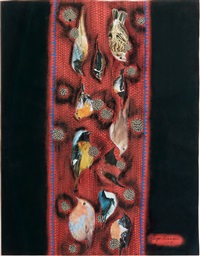 Night, 1981