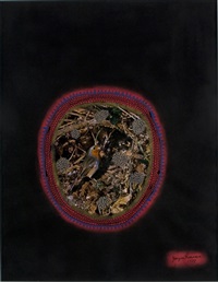 A Nest, 1981