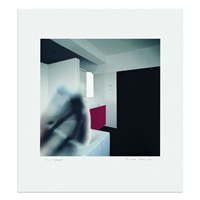 Bathroom Fig. 1, 1997