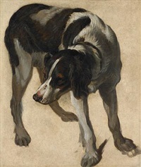 un épagneul à l’arrêt by alexandre françois desportes