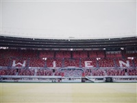 Austria 8  (Ernst Happel Stadion, Kunsthalle , 2008