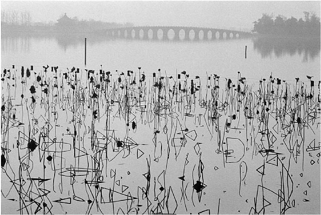 CHINA. Beijing. 1964. Former Summer Palace. Dead lotus flowers on the  Kunming Lake. by René Burri on artnet