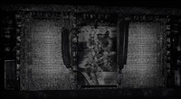 Tote Hosen II, 2013