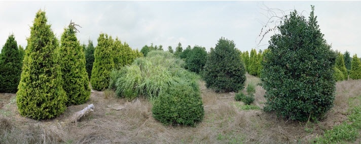 Verderber Landscape Nursery Montauk Highway Hampton Bays New York Verderber Landscape Nursery Montauk Highway Hampton Bays New York By Scott Mcfarland