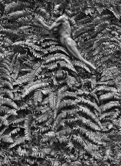 Image result for Sebastião Salgado