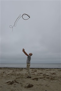 Kelp thrown into a grey, overcast sky,..., 2013