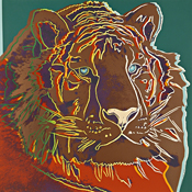 Siberian Tiger by Andy Warhol