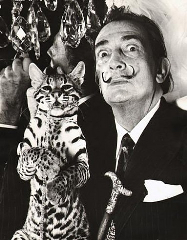 Salvador Dali by Edward Pfizenmaier Salvador Dali by Edward Pfizenmaier