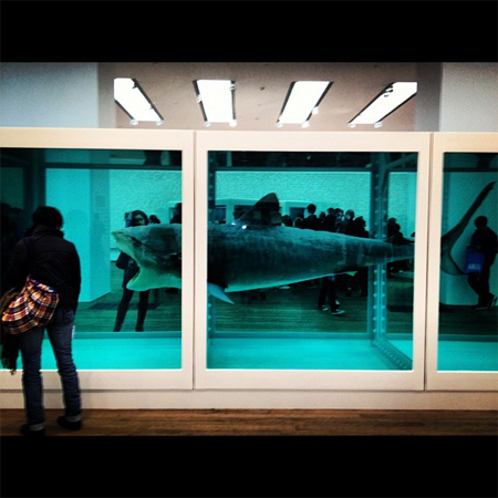 The Physical Impossibility of Death in the Mind of Someone Living by Damien Hirst The Physical Impossibility of Death in the Mind of Someone Living by Damien Hirst