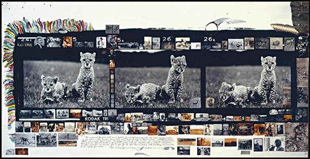 Orphan Cheetah Triptych by Peter Beard Orphan Cheetah Triptych by Peter Beard