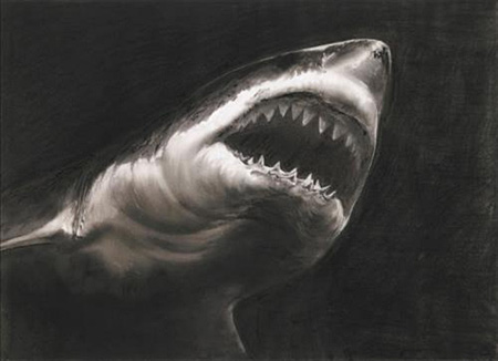 Study for Shark by Robert Longo