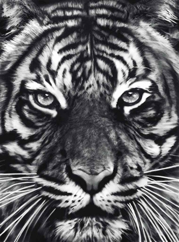 Untitled (Leo) by Robert Longo Untitled (Leo) by Robert Longo