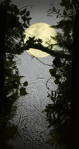 Yellow Moon by Susan Derges Yellow Moon by Susan Derges
