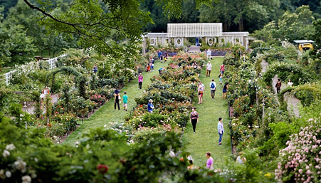 Brooklyn Bridge Garden June 10, 2012 by Susan Wides