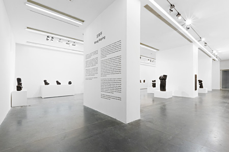 Wang Keping, Installation View Wang Keping, Installation View