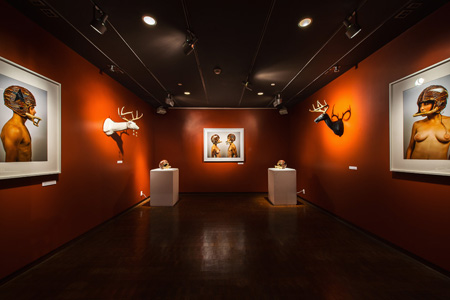 Wild Card, exhibition view, 21c Louisville Wild Card, exhibition view, 21c Louisville