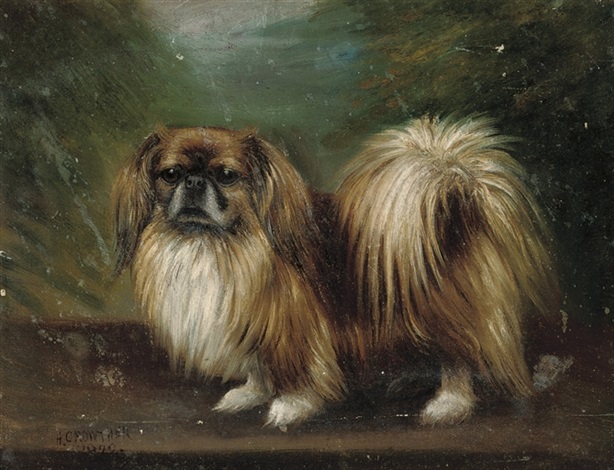 henry-crowther-a-pekinese.jpg