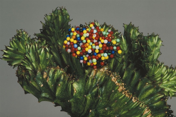 Disassembly by Paweł Bownik on artnet