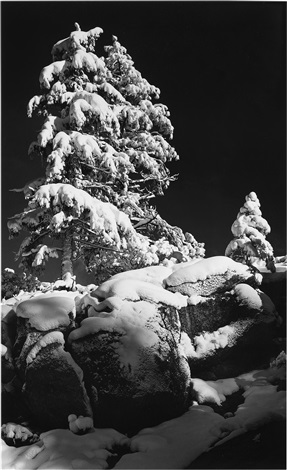 snow-covered-tree-by-ansel-adams-on-artnet