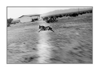 John Divola | Artnet John Divola | Artnet