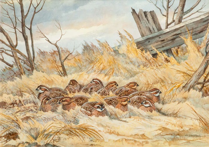 Covey of Bobwhite Quail by William Joseph Schaldach on artnet
