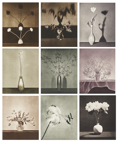 Flowers, 1983 by Robert Mapplethorpe on artnet