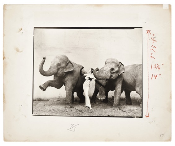 Dovima With Elephants（リチャード アベドン）アートポスター Dovima with Elephants, 1955 by Richard Avedon on artnet