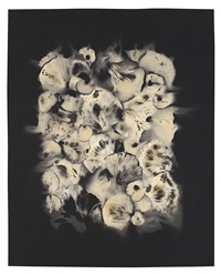 Adam Fuss | Artnet | Page 8