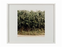 ‘Wegrand’, 2001
