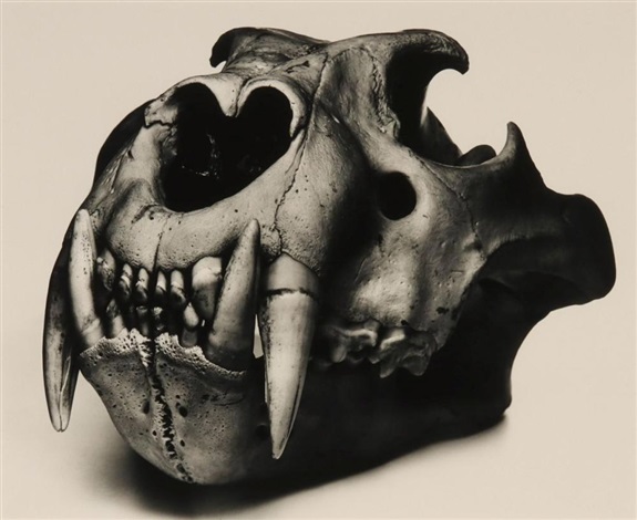Cranium Architecture | Pinault Collection